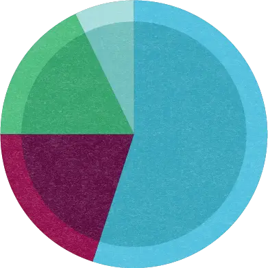 colorful pie chart